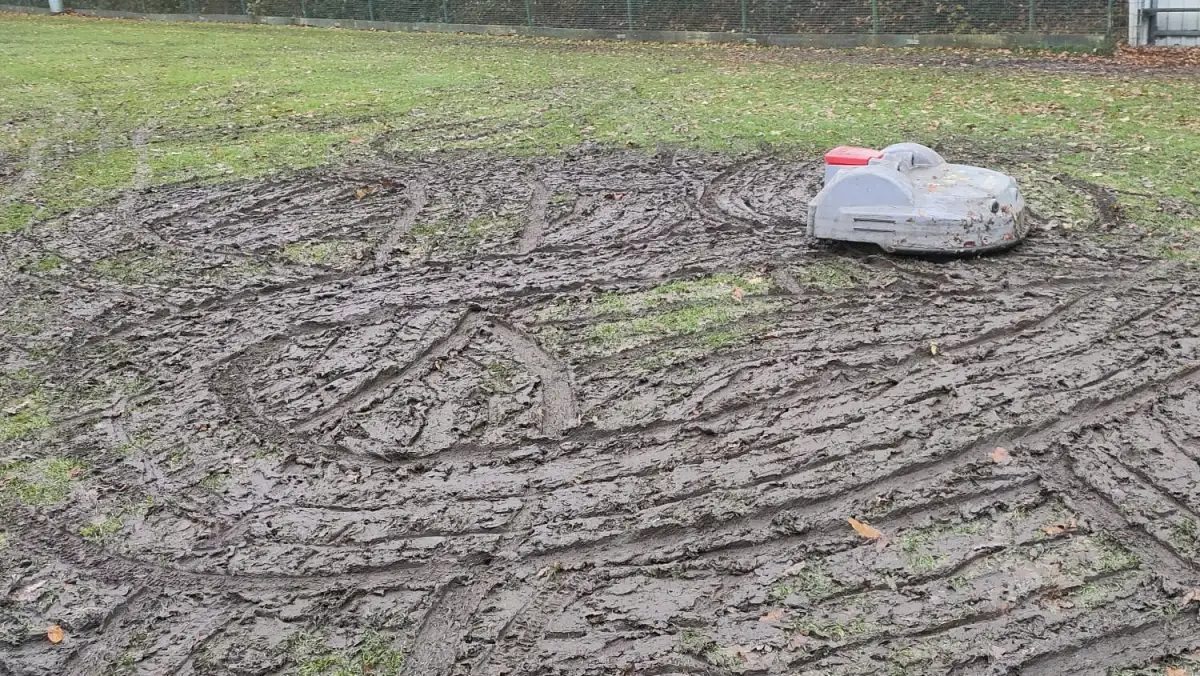 Der Schuldige, Robby (rechts oben), ist sich allerdings keiner Schuld bewusst. Er habe nur seinen Job gemacht. Foto: privat